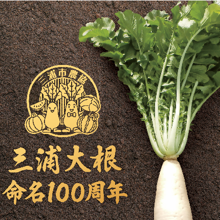 三浦大根カレー6