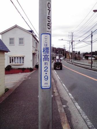 道路脇の電柱に取り付けられている「ここは標高約8.5メートル」と青文字で書かれたプレートの写真