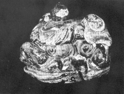 黒い床に雌獅子の頭が置かれている白黒写真