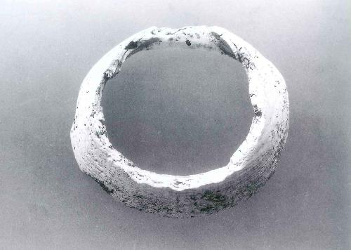 赤坂遺跡から出土した貝製の腕輪