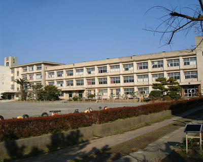 青空の下、石造りの生垣に囲まれたカラフルなタイヤの遊具が並んだ校庭と横長の校舎が印象的な初声小学校の写真