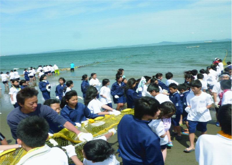 浜辺にたくさんの生徒たちが集まり、黄色い網を持って地引網漁を体験している写真