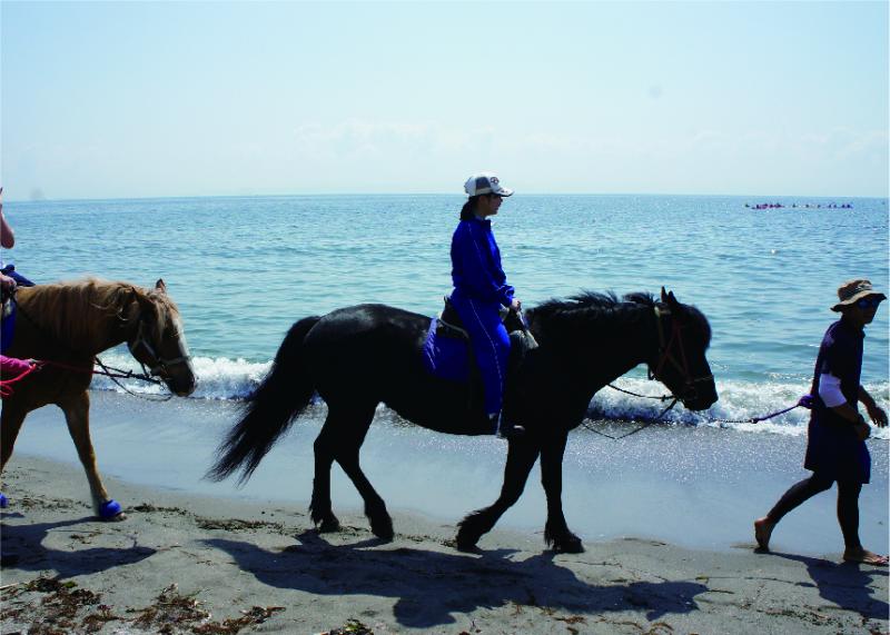 波打ち際で、人を乗せた馬が列になって歩いている写真