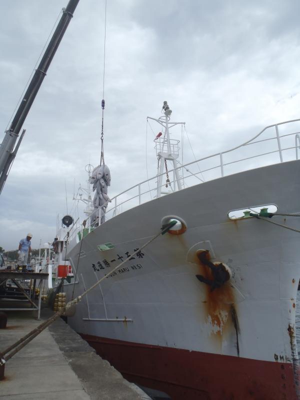 第五十一勝運丸の漁船と冷凍マグロがクレーンで吊られている写真