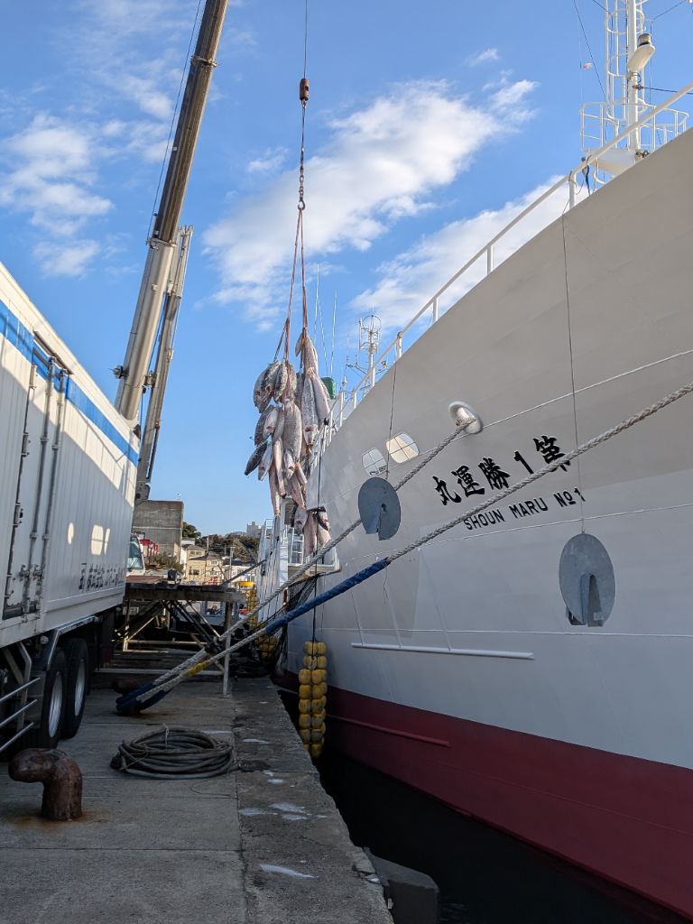 第1勝運丸の船から水揚げされたたくさんの魚が水揚げされている写真