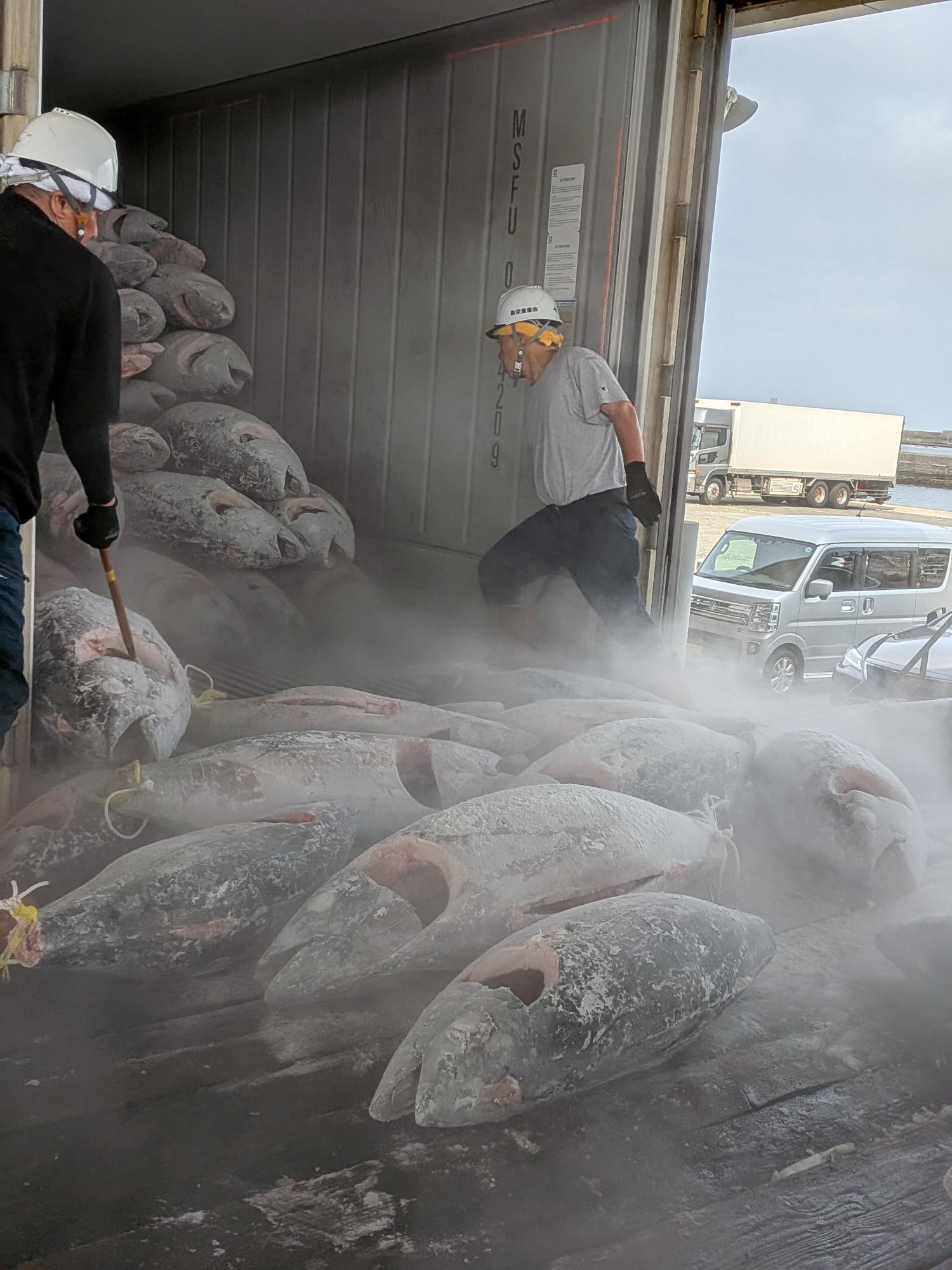 水揚げされたたくさんの魚が運ばれている写真