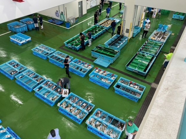 多くの魚が入ったブルーのケースが並べられた市場で魚を見ながらメモを取る人たちを俯瞰で撮った写真