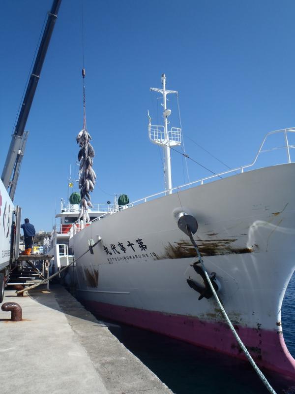 第十事代丸の漁船の隣で冷凍マグロがクレーンで吊られている写真