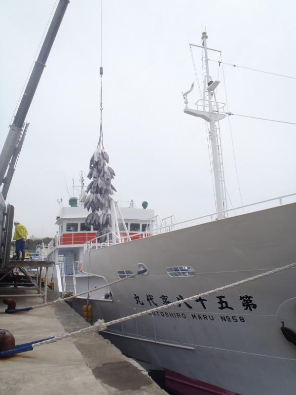 第五十八事代丸の漁船と隣で冷凍マグロがクレーンで吊られている写真