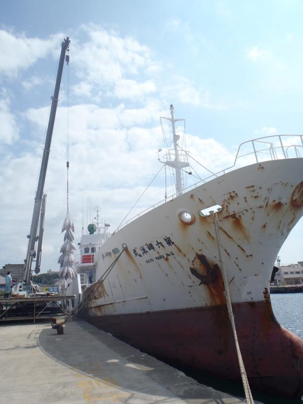 第六岬洋丸と書かれた漁船と、その隣で冷凍マグロがクレーンで吊られている写真