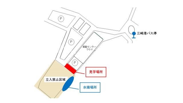 見学場所と水揚場所が示されている地図