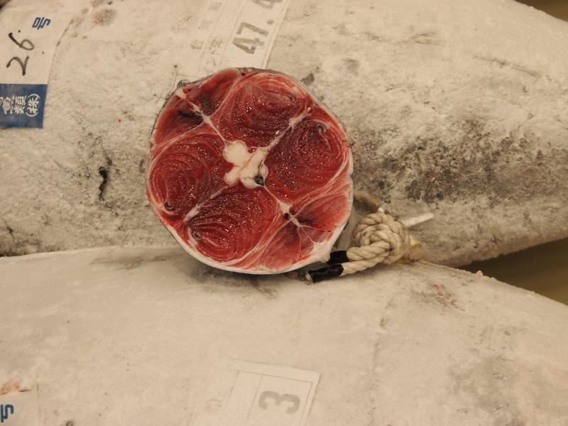 2尾の冷凍マグロの上に切り落とされたマグロの一部の断面を正面に写した写真