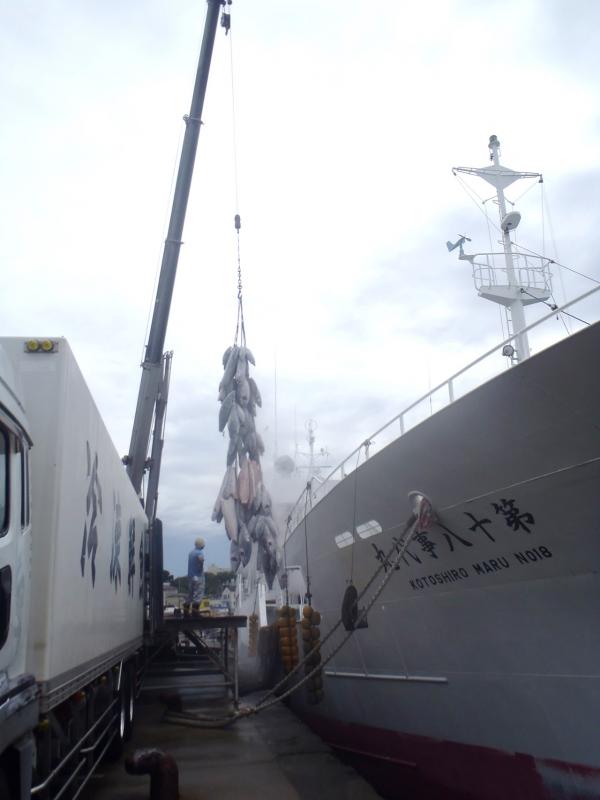 第十八事代丸の船の横で冷凍マグロがクレーンで吊られている写真