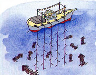 疑似餌がついた糸を直接海中に垂らし、魚が寄ってくるのを待っている船のイラスト