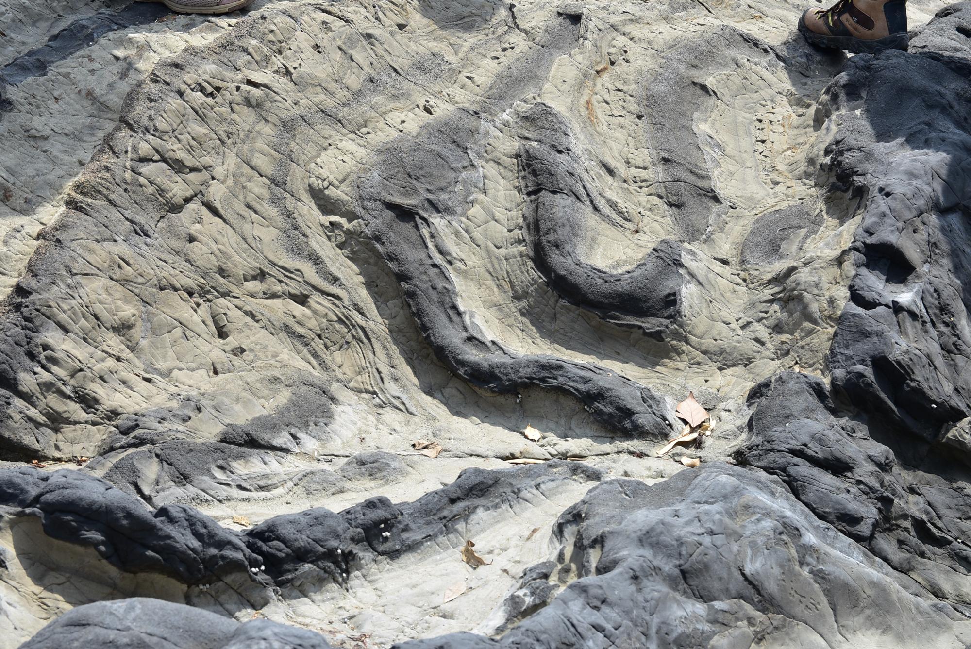 褶曲