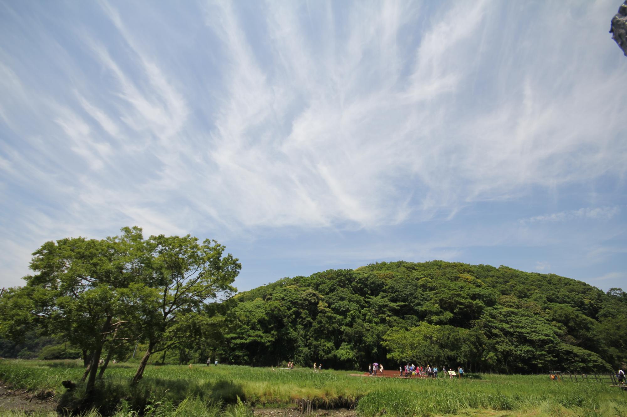 えのきテラス 遠景