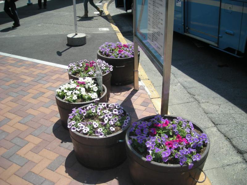 歩道に設置された案内板の周りに青紫色や白色、赤色の花が植えられている樽型の花壇の写真