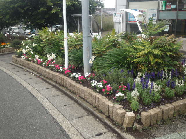 道路そばの花壇で白色やピンク色、青色などの花が植えられている写真