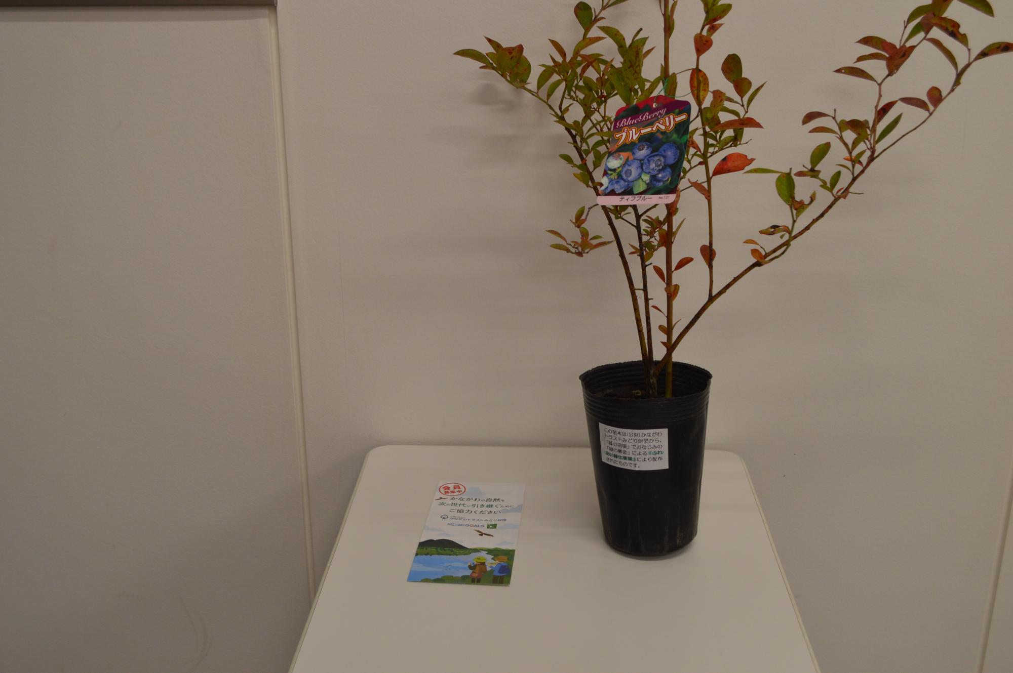 令和7年度花とみどりのつどい