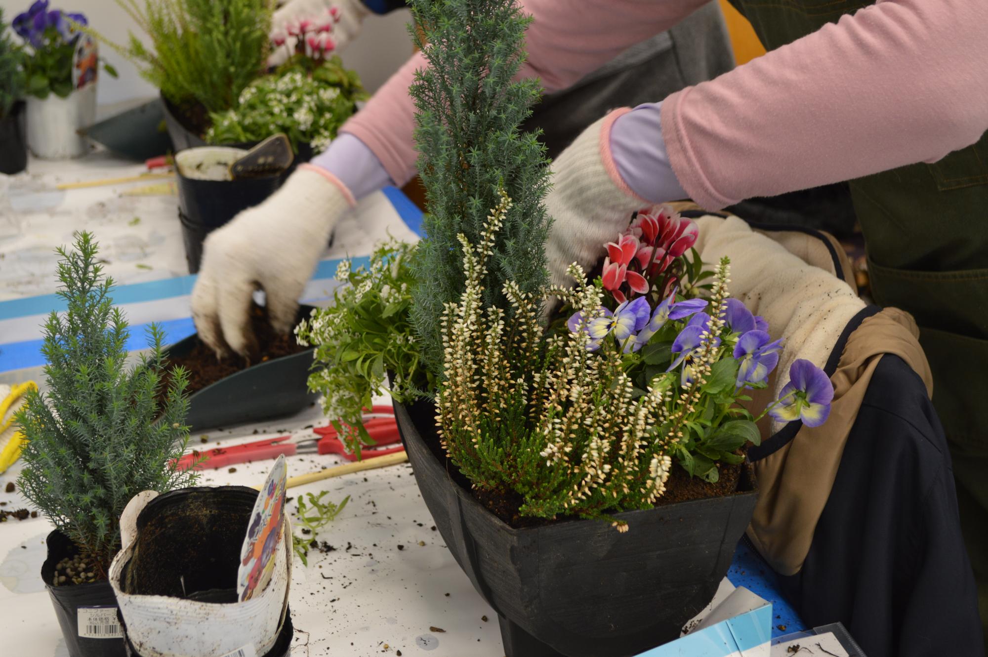 令和7年度花とみどりのつどい