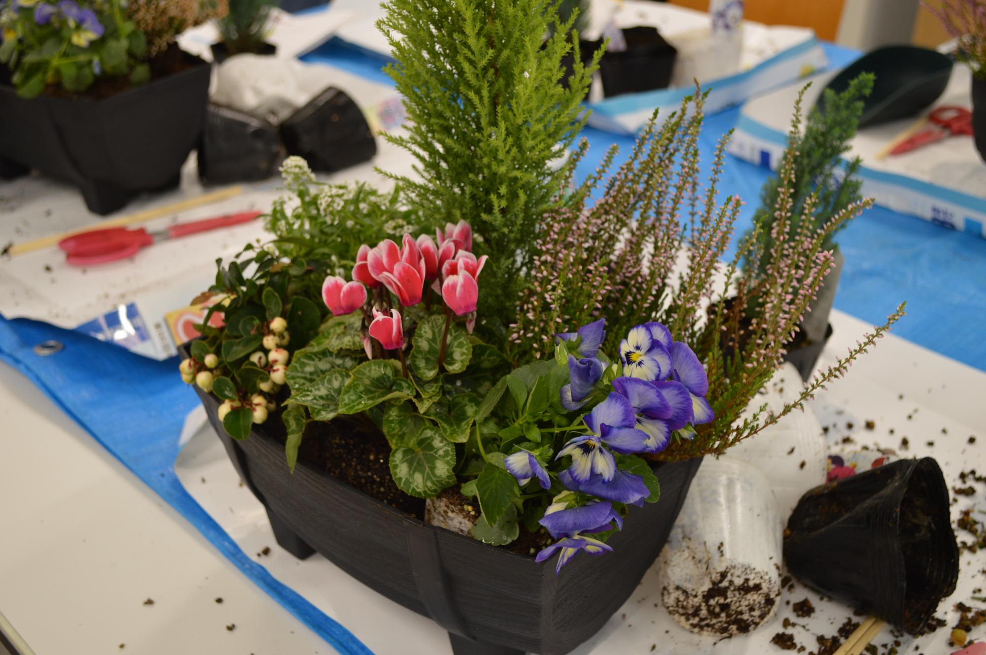 令和7年度花とみどりのつどい