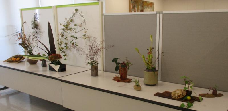 テーブルやボードに展示された植物の作品の写真