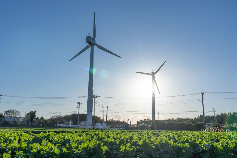 太陽輝く青空を背景に緑豊かな地に設置された風力発電設備の写真