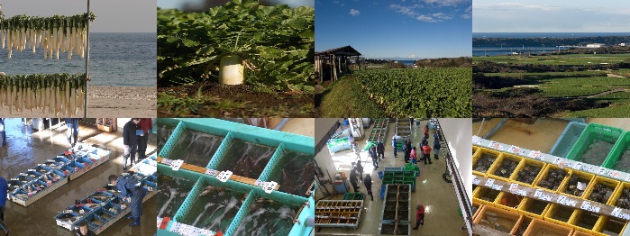日本各地の水産物や農産物が三浦市に集まることを示唆している8枚の写真