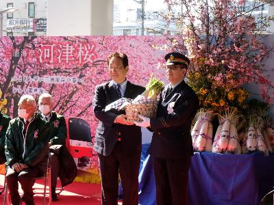 三浦海岸桜まつり