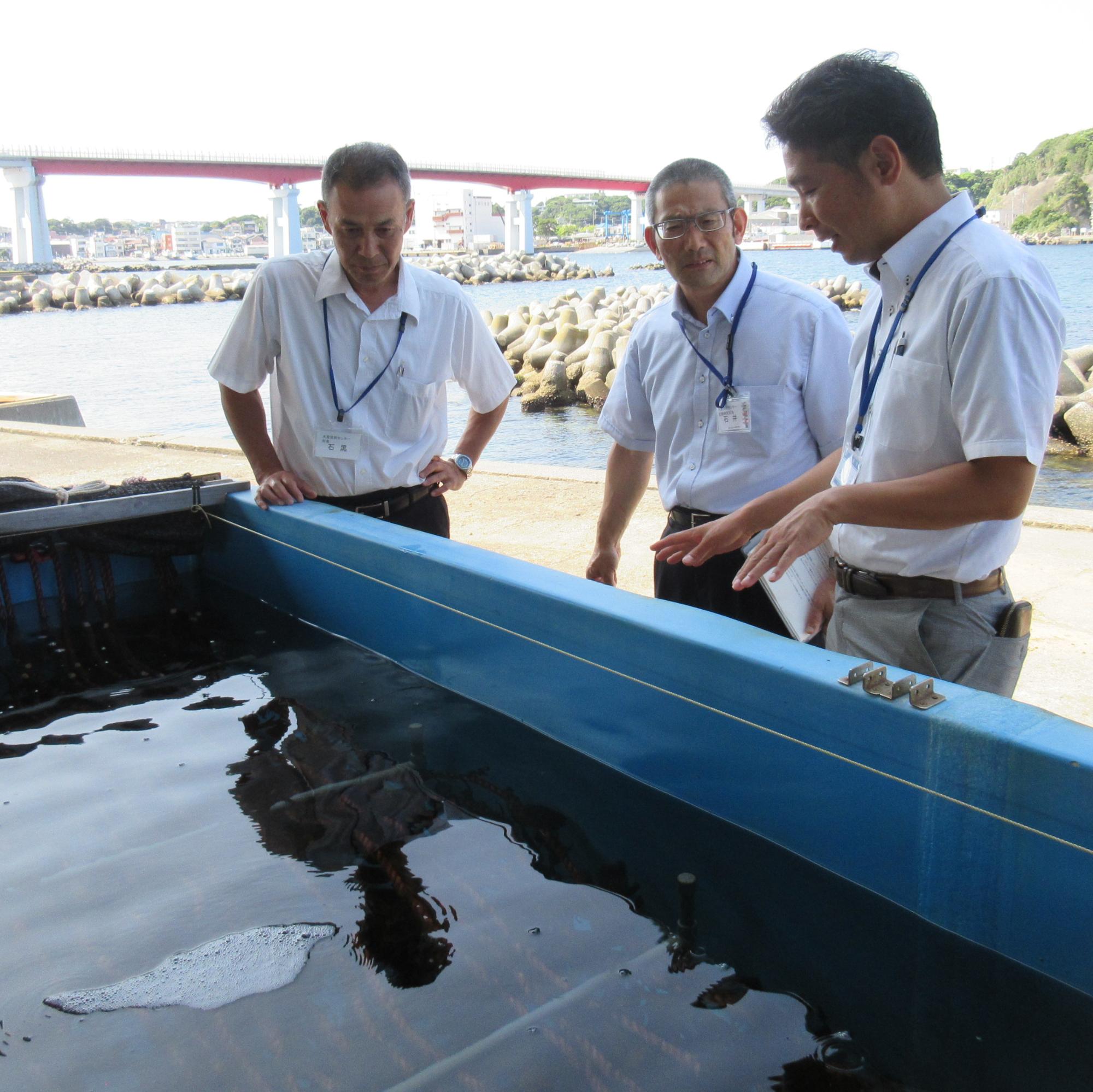 水産技術センター5