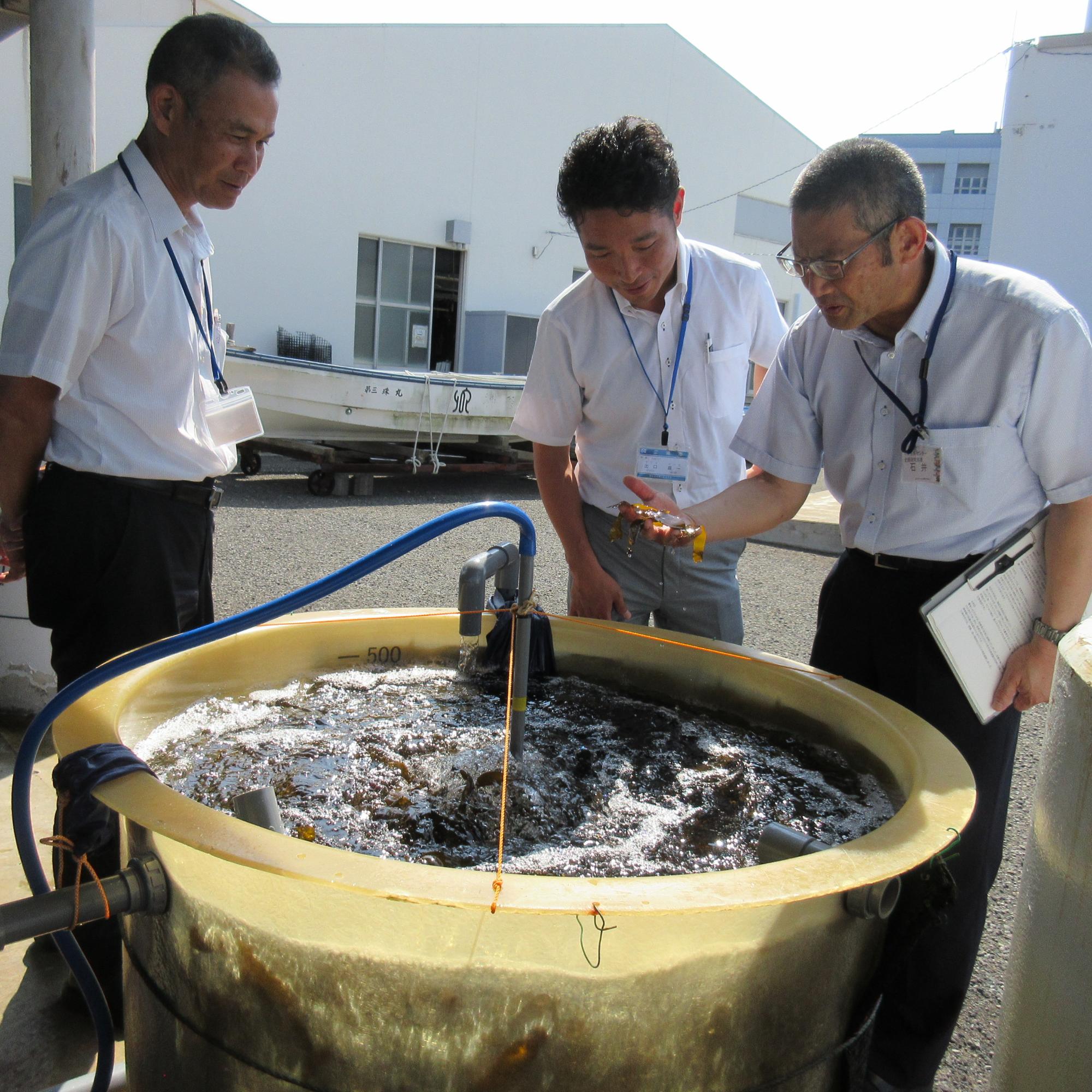 水産技術センター6