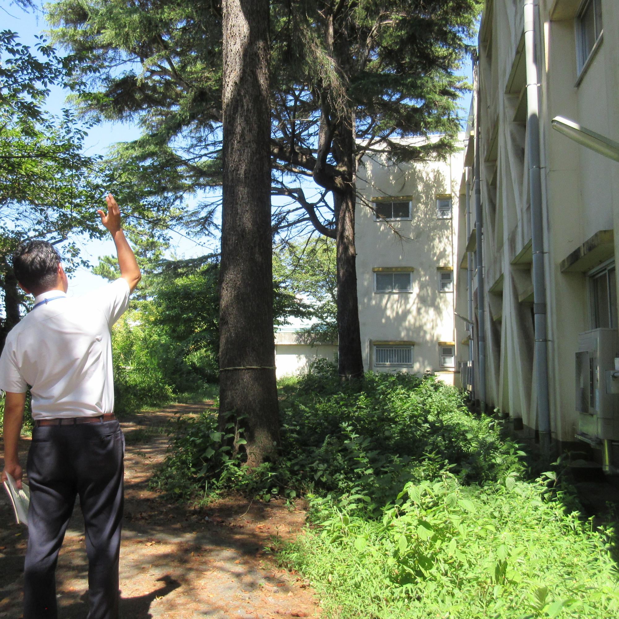 学校視察1