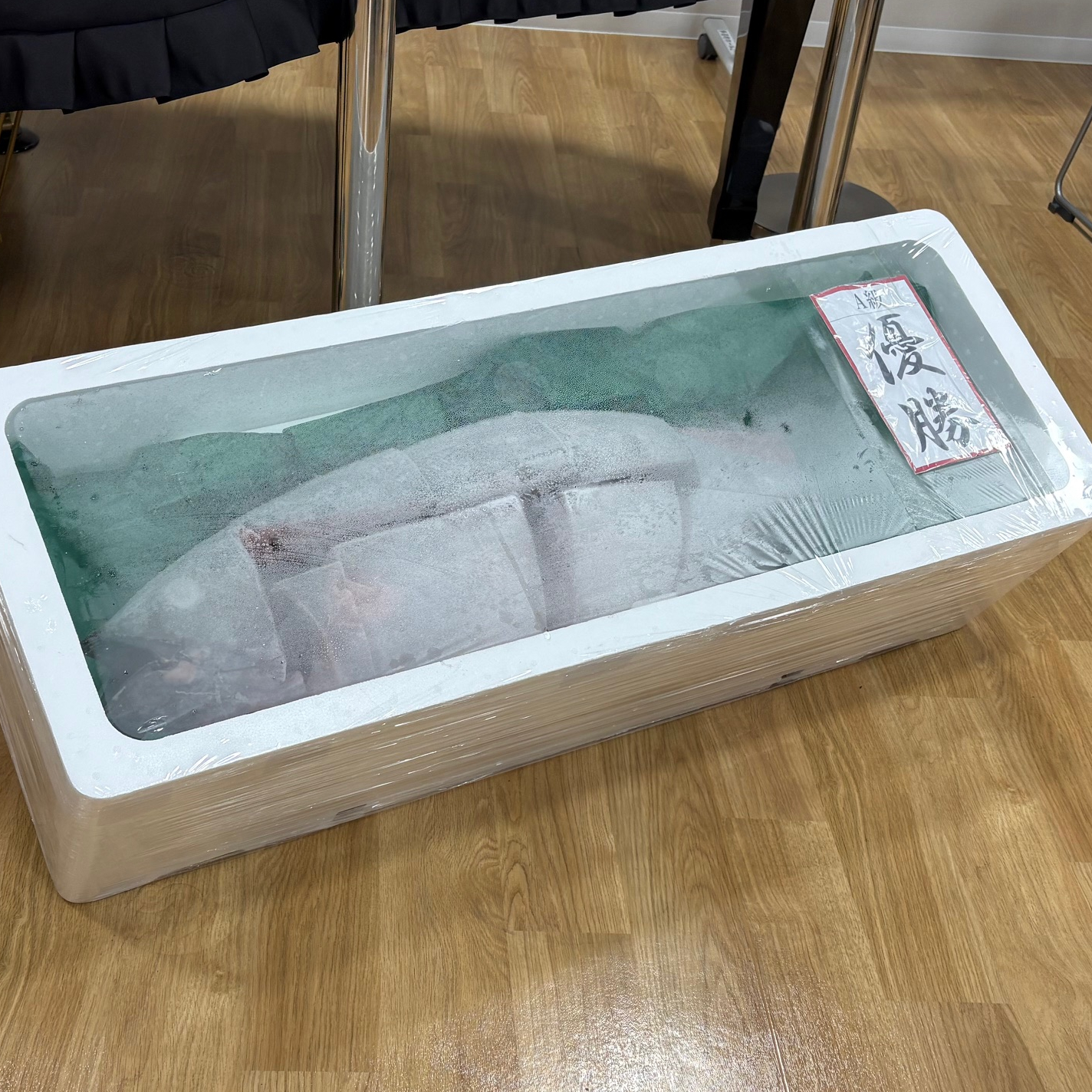 マグロ将棋大会2