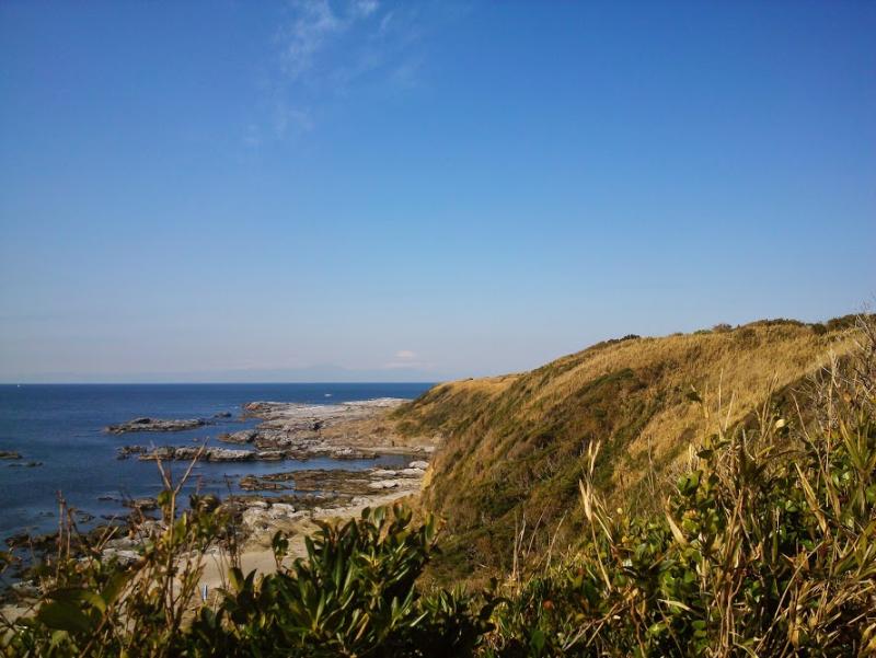 快晴の青空と海を背景に草の生えた大地がある、自然豊かな城ヶ島の写真