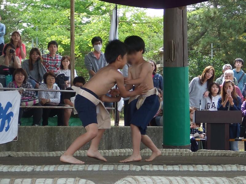 わんぱく相撲三浦場所で試合をしている子供の写真