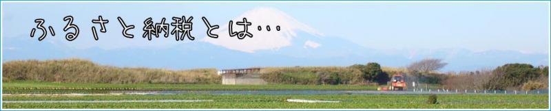 左上に「ふるさと納税とは…」と書かれた、開けた大地の後ろに富士山が映った写真